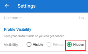 hidden-profile-visibility