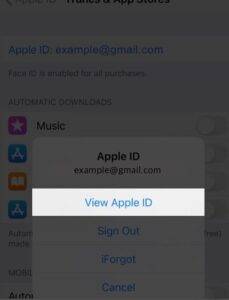 tap-on-apple-id-select-view-apple-id-and-tap-on-subscription-on-iphone