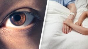 Read more about the article Beyond Belief: Scientists Resurrect Eyes After 5 Hours