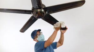 Read more about the article Dust-Free Delight: The Genius Trick for Sparkling Ceiling Fans