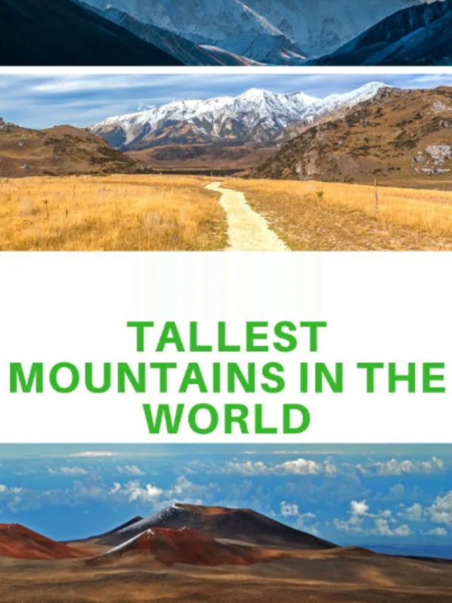 The Heights of Adventure: Top 8 Tallest Mountains Worldwide
